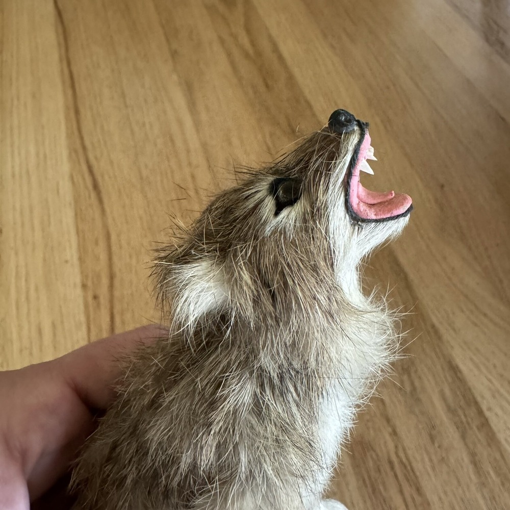 Realistic Looking 5.5" Howling Wolf Made With Rabbit Fur - Picture 6 of 6